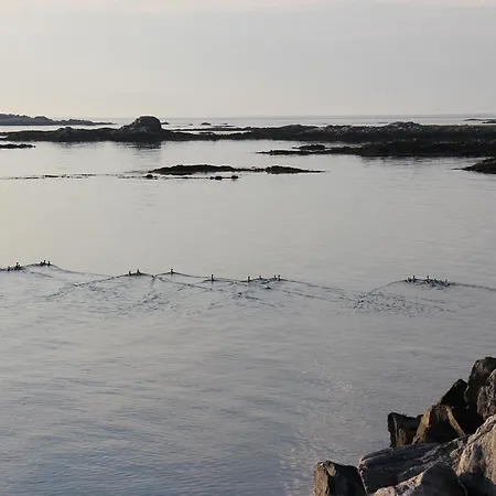 Melastua Gjestehus